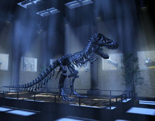 Dinosour - A skull of dinosour