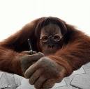If I were a monkey... this me as monkeywriter! - found on the net, its kinda cool:))