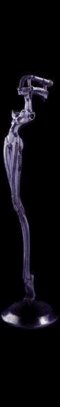 jonathan's mic stand - jonathan davis's mic stand