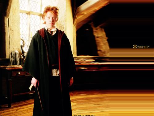 Won won wallpaper - Ron is our won-won. A wallpaper dedicated to Ron.