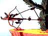 Me as an arrow. - I was after that Roadrunner and I was getting desberate