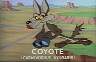 Wildecoyote - Me looking for the runner AGAIN