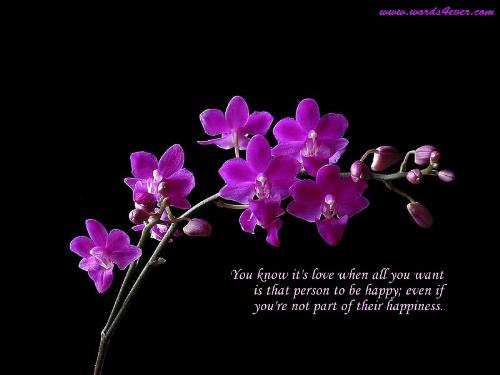 Words Forever - You know its love when all you want is that person to be happy;even if you`re not part of their happiness.This is love nothing else.