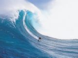 Surfing - Local wind conditions affect wave quality, since the rideable surface of a wave can become choppy in blustery conditions. Ideal surf conditions include a light to moderate strength 'offshore' wind, since this blows into the front of the wave.