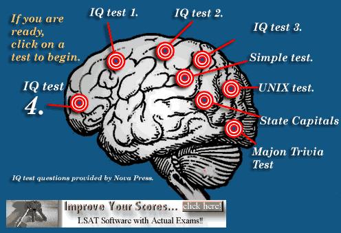 brain  - iq test