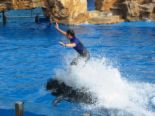 Surfing - The value of good surf has even prompted the construction of artificial reefs and sand bars to attract surf tourism. Of course, there is always the risk that one's holiday coincides with a 'flat spell'. Wave pools aim to solve that problem, by controlling all the elements that go into creating perfect surf, however there are only a handful of wave pools that can simulate good surfing waves, owing primarily to construction and operation costs and potential liability.