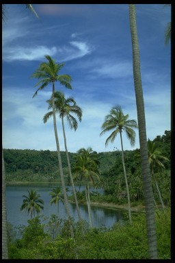 awesom picture - its a blue sky with  an sunsetiing