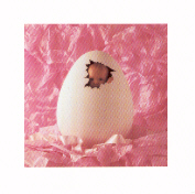 It's A Girl!! - This is a photograph by Anne Geddes, and it reminds me of having a baby girl one day. I hope one of my eggs hatch a girl, but it's scary to try again.