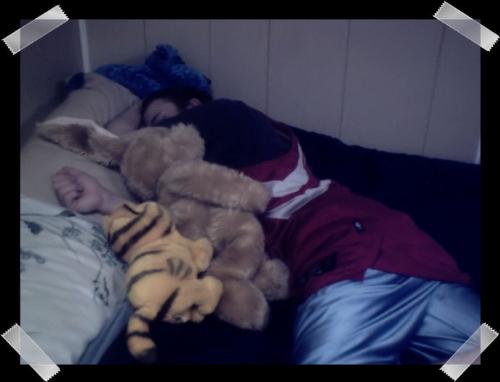 kerry sleeping - haha kerry sleeping with all of my stuffed animals around him.