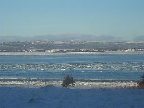 view in newfoundland - A picture I took on New Year's Day 2007