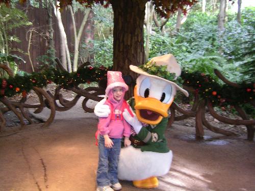 Donald Duck - Donald Duck, Disney World 2006.
