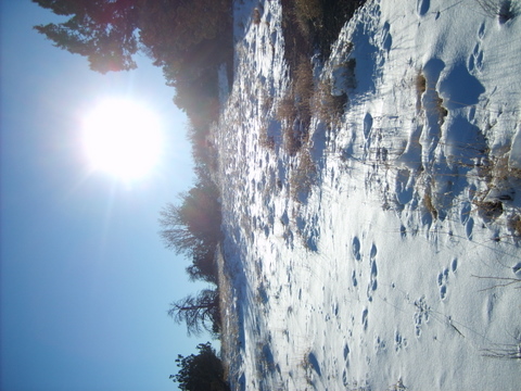 Snow capped mountain in Flagstaff Az - This Photo was taken just outside my door! Beautiful huh? How many other peoples backyards look like this?