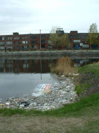 polution - water polution in the canal