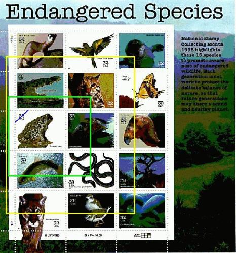stamps - collecting stamps