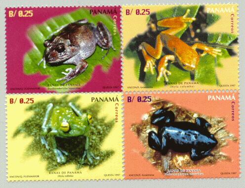 stamps - collecting stamps
