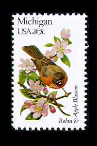 stamps - collecting stamps