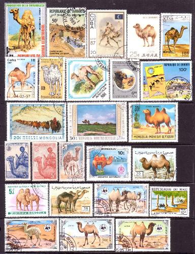 stamps - collecting stamps