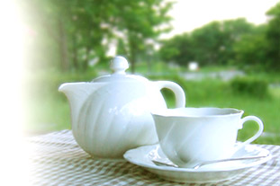 tea cup - a kit of tea cup
