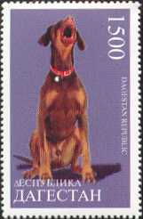 stamps - collecting stamps