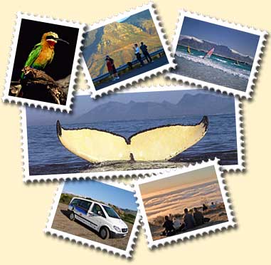 stamps - collecting stamps