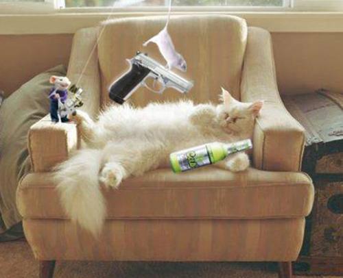 Cat and Mouse - i this picture what do you think that what are doing the mice.