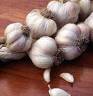 Garlic. I love dam !!! - Garlic