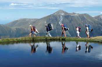 New Zealand - The Traveller&#039;s Delight.