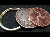 coin - coin collection