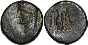 coin - coin collection
