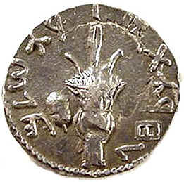 coin - coin collection