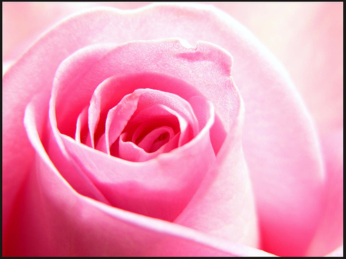 Mother Nature at her Best - U gotta temme lukin at the pic...