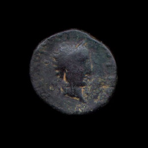 coin - coin collection