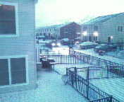 My backdoor - taken from my room. let it snow ...yippie ..
