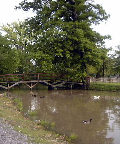 Water and a bridge - this picture was taken from lakemount park its a small bridge over the water i think its a picture perfect post card