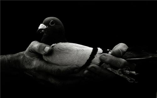 the peace - its something peacefull we can say