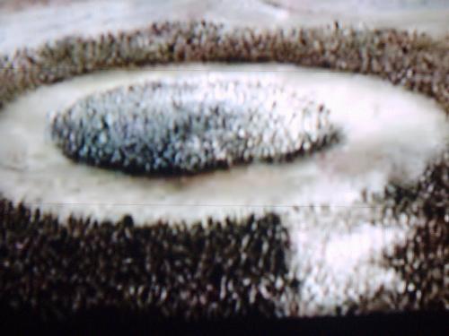 they will be taking them by side by side - see that and look then animation which are created by peter jackson