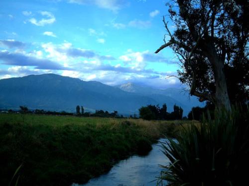 New Zealand - Stream - Kaikoura