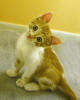Just so cute... - This one is so cute....words aren't really needed