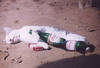A very drunk kitty - I wonder what brand of beer it prefers? lol
