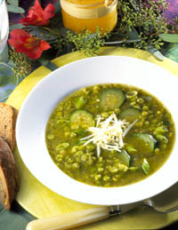 pea soup - This is kind of what it looks like ...