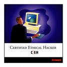 hacking - ethical hackers