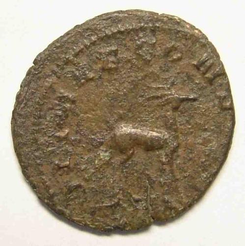 coin - coin collection