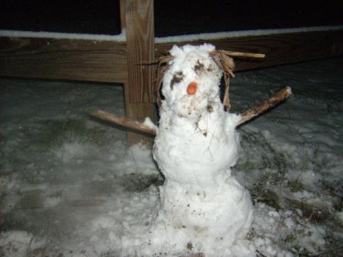 My Sad Looking Small Snowman - My sad looking, tiny little snowman.