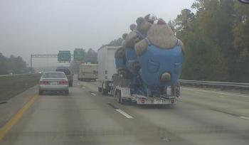 Bears on a tractor trailer - A picture of three bears,I think,being driven down the interstate.