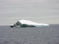 effects of global warming - regarding the globalwarming effects