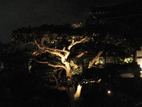 Japan region kansai - Picture shot in the japanese region of kansai, beautiful !