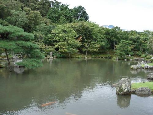 Japan region kansai - Picture shot in the japanese region of kansai, beautiful !