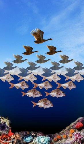 image - photoshop
