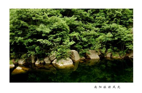 funiu mountain  - green