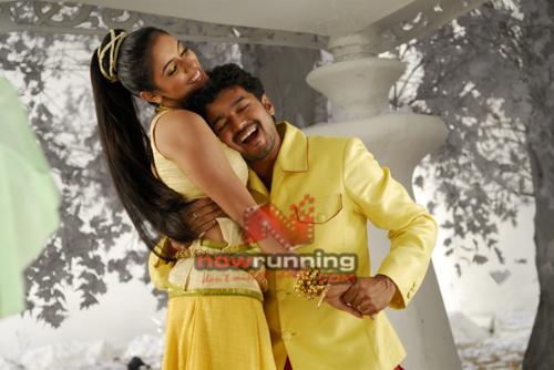 pokkiri - pokkiri vijay